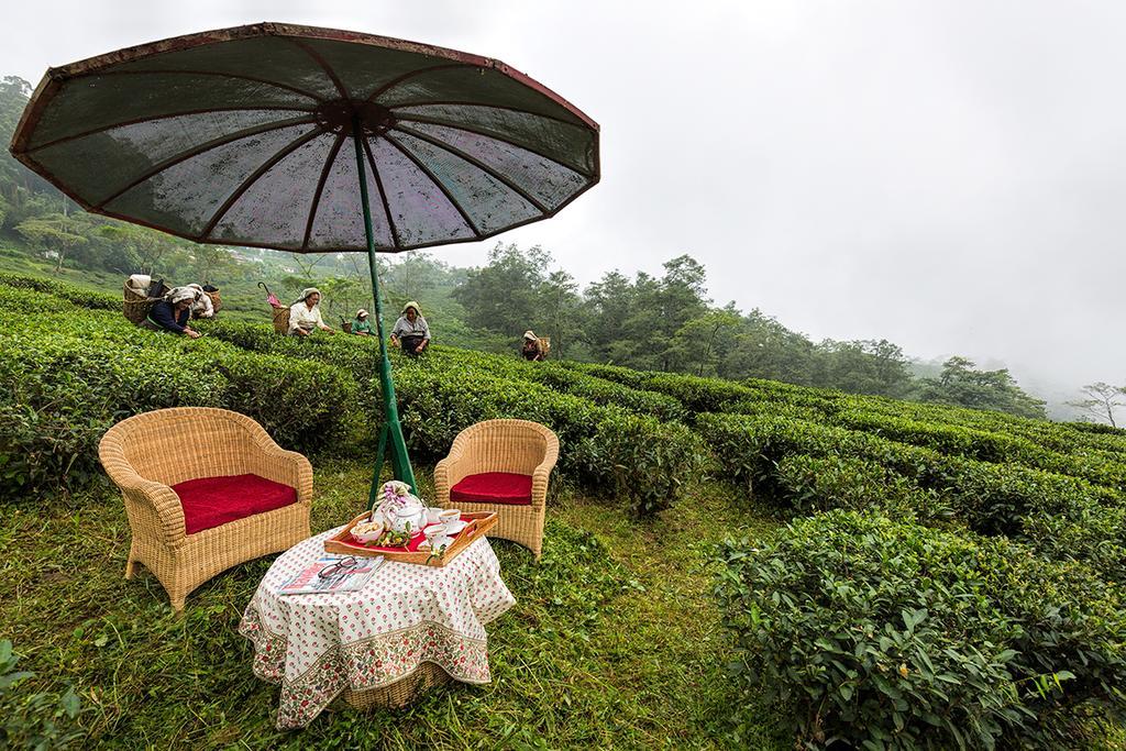 Ging Tea House Guest House Darjeeling  Bagian luar foto