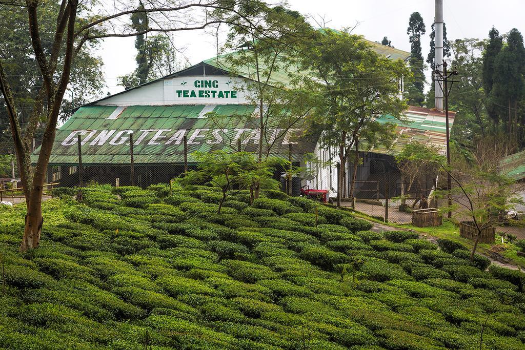 Ging Tea House Guest House Darjeeling  Bagian luar foto